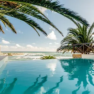 Camps Bay Terrace Palm Cape Town